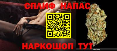 соль ск Дубна