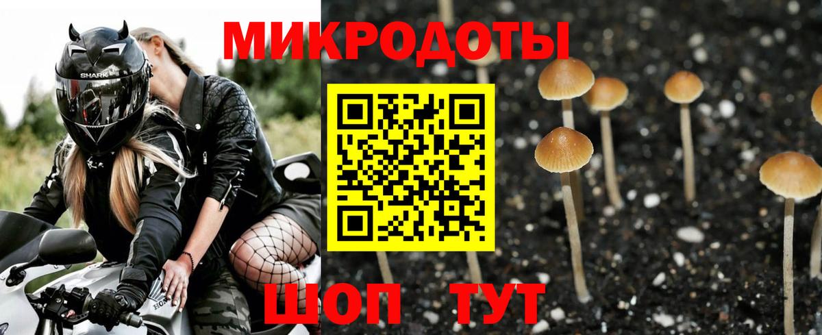Можайск  Галлюциногенные грибы ЛСД  Вход с VPN  Псилоцибиновые грибы ЛСД 